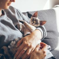 Кошка на руках у женщины