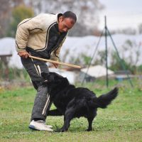 Грюнендаль атакует