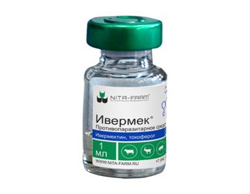 «Ивермек» для собак: риски применения универсального противопаразитарного лекарства