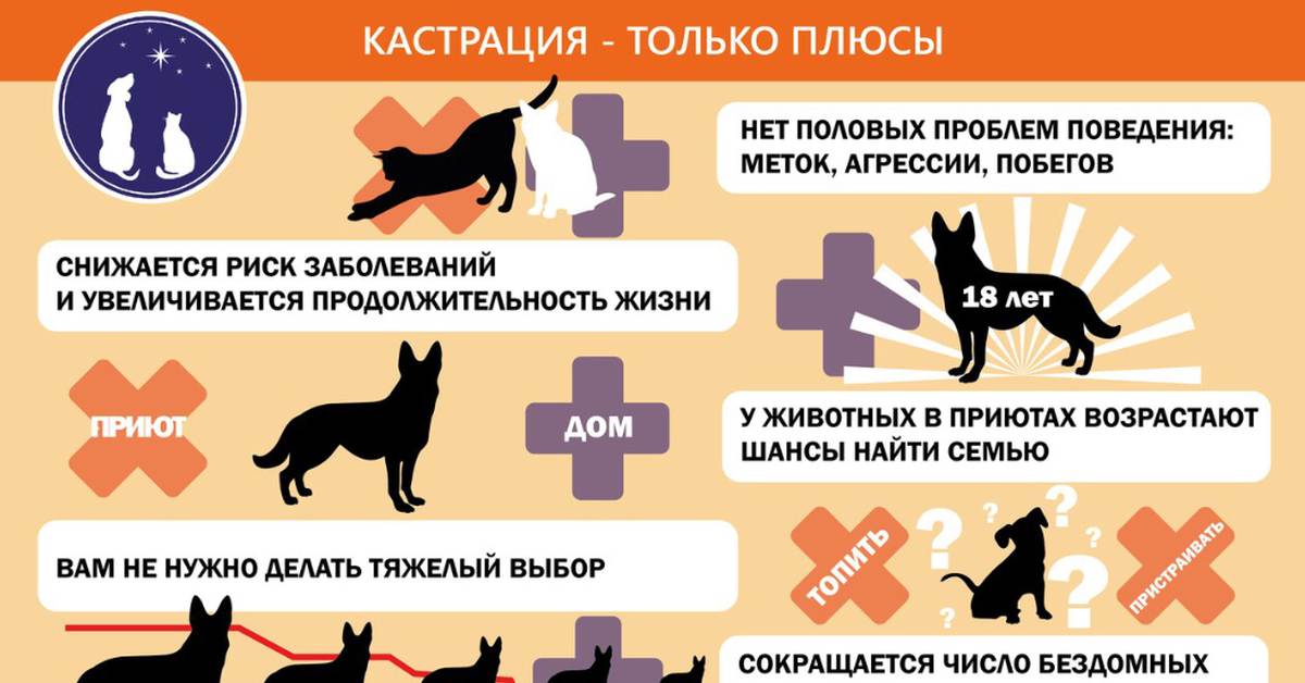 https://macho-ster.com/wp-content/uploads/f/b/d/fbdf222578076b7f12b1dfb7918be167.jpeg